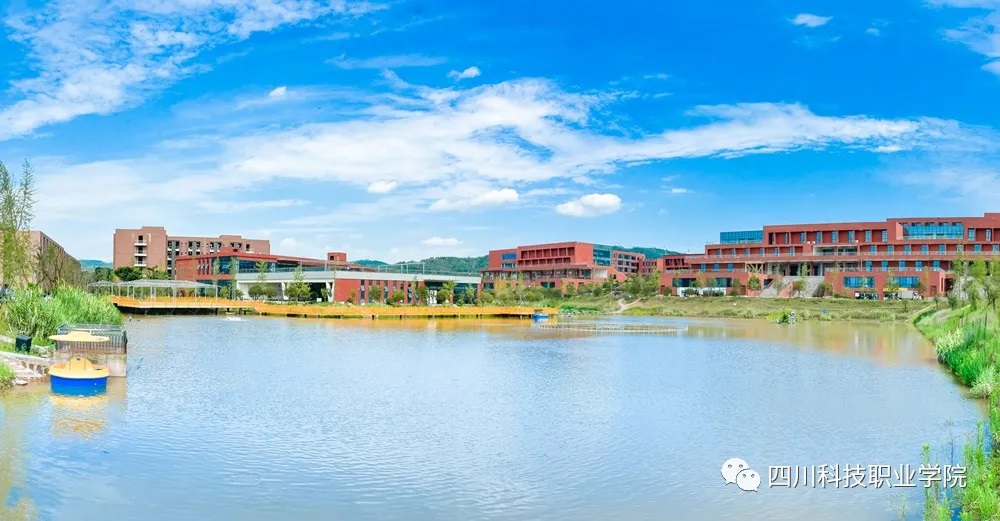 1-2201130P0331c.jpg