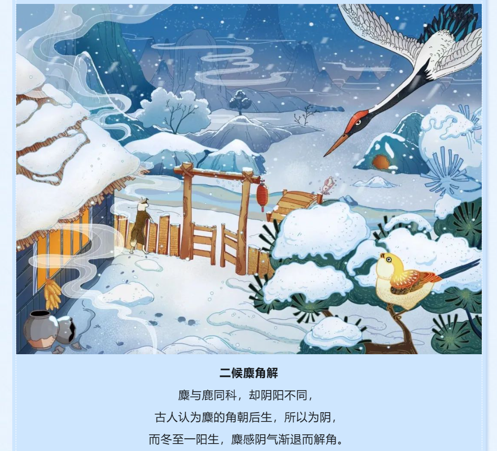 1-23122P02514919.png